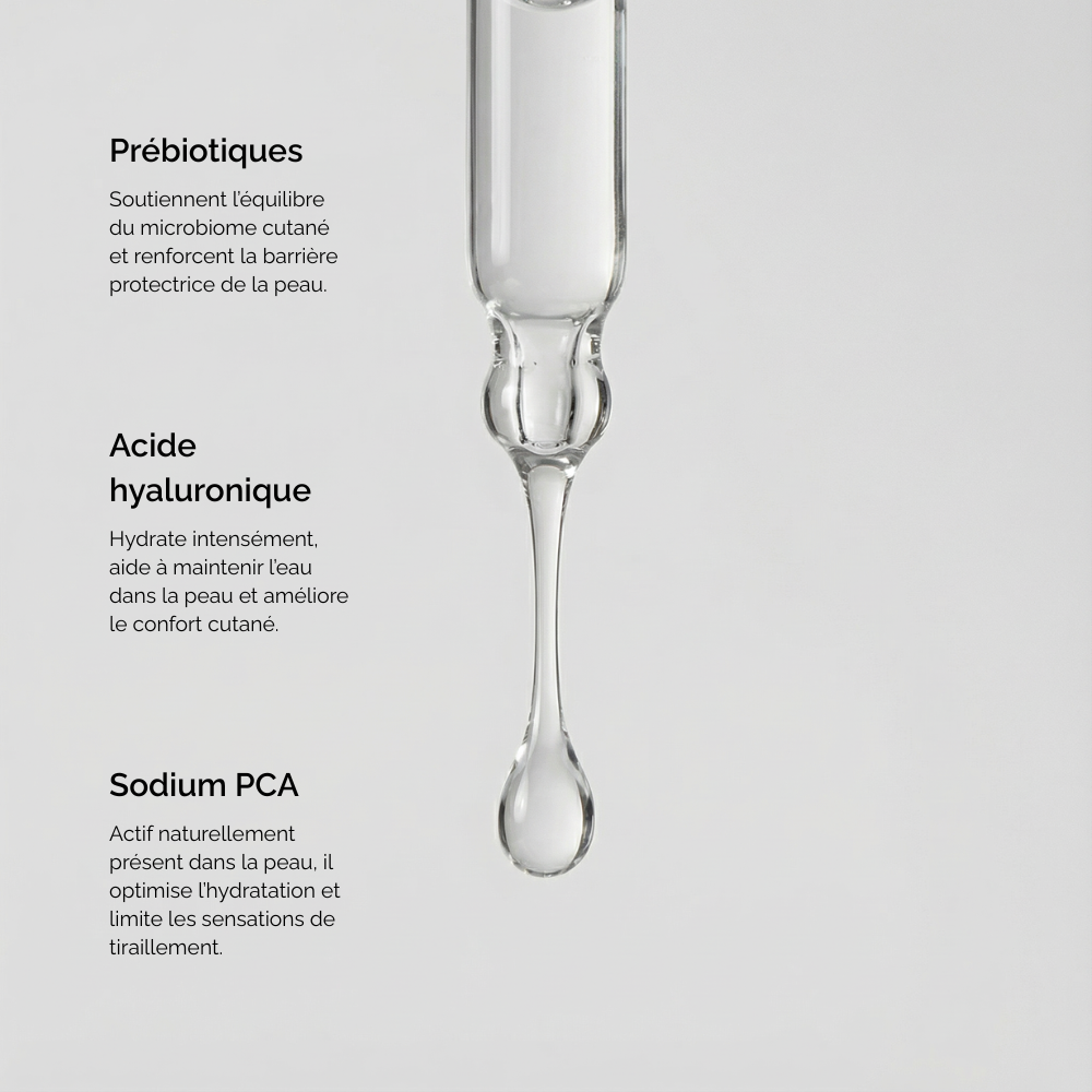 Repair 03 - Gelée prébiotique bioactive