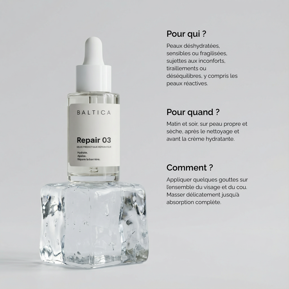 Repair 03 - Gelée prébiotique bioactive